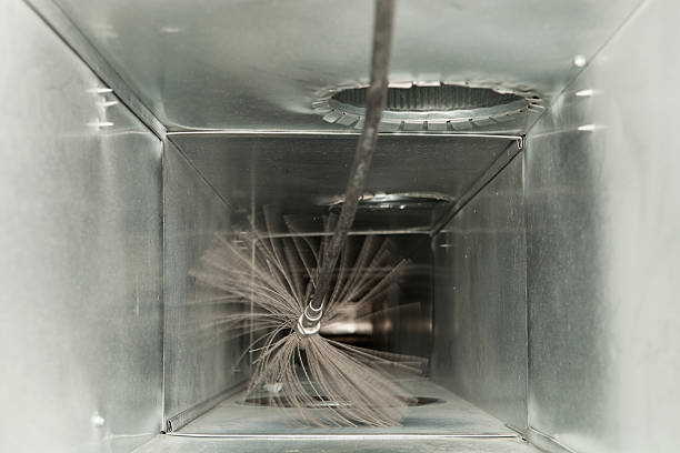Best Air Duct Mold Removal  in Hudson, NC